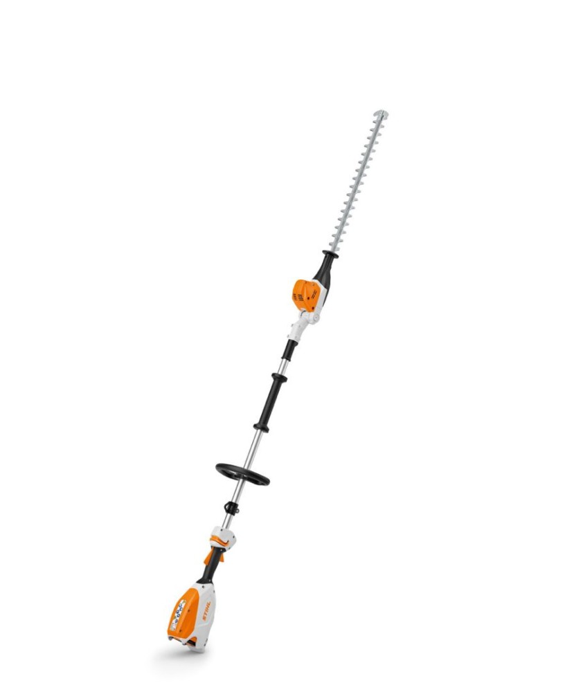HLA 66