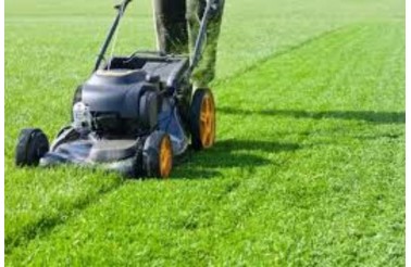 Tondeuse récalcitrante ? Guide de dépannage pour les pannes courantes